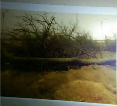,ʹأĶرǿ άȨʮ޹